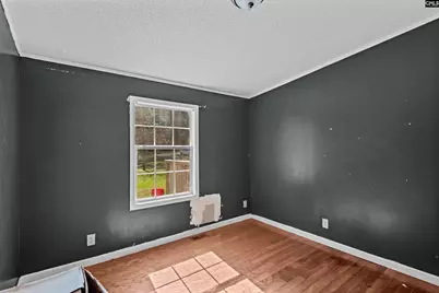 179 Smith Young Road, Blythewood, SC 29016 - Photo 27
