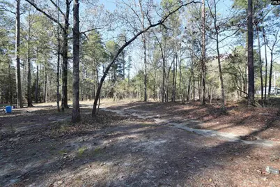 110 Kennerly Road, Sandy Run, SC 29112 - Photo 19