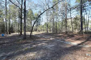 110 Kennerly Rd, Sandy Run, SC 29112 - Photo 19