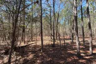 Bhl 10 Boise Cascade Road Bhl 10, Bethune, SC 29009 - Photo 17