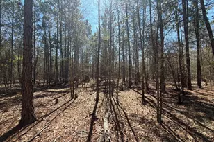 Bhl 10 Boise Cascade Road Bhl 10, Bethune, SC 29009 - Photo 9