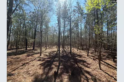 Bhl 10 Boise Cascade Road Bhl 10, Bethune, SC 29009 - Photo 11