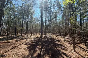 Bhl 10 Boise Cascade Road Bhl 10, Bethune, SC 29009 - Photo 11