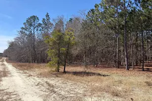 Bhl 10 Boise Cascade Road Bhl 10, Bethune, SC 29009 - Photo 23