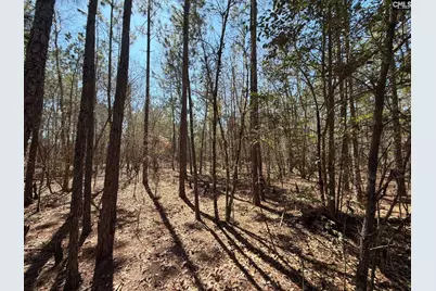 Bhl 10 Boise Cascade Road Bhl 10, Bethune, SC 29009 - Photo 15