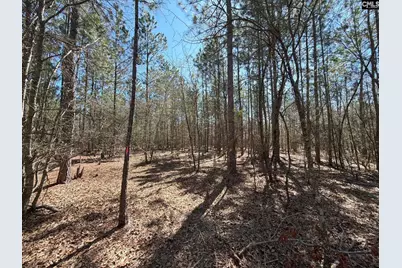 Bhl 10 Boise Cascade Road Bhl 10, Bethune, SC 29009 - Photo 7