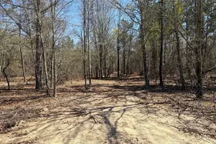 Bhl 10 Boise Cascade Road Bhl 10, Bethune, SC 29009 - Photo 1