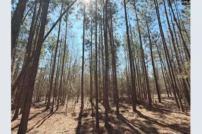 Bhl 10 Boise Cascade Road Bhl 10, Bethune, SC 29009 - Photo 5