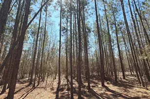 Bhl 10 Boise Cascade Road Bhl 10, Bethune, SC 29009 - Photo 5