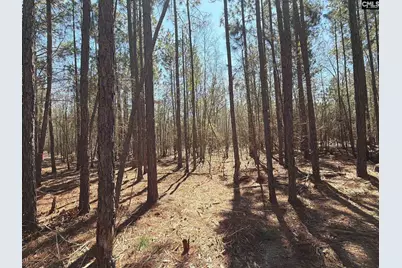 Bhl 10 Boise Cascade Road Bhl 10, Bethune, SC 29009 - Photo 3