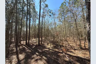 Bhl 10 Boise Cascade Road Bhl 10, Bethune, SC 29009 - Photo 19