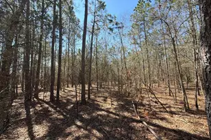 Bhl 10 Boise Cascade Road Bhl 10, Bethune, SC 29009 - Photo 19