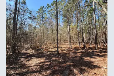 Bhl 10 Boise Cascade Road Bhl 10, Bethune, SC 29009 - Photo 21