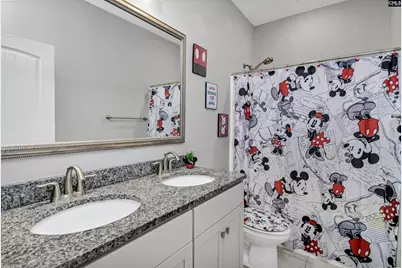 2411 Old Lexington Highway, Chapin, SC 29036 - Photo 31