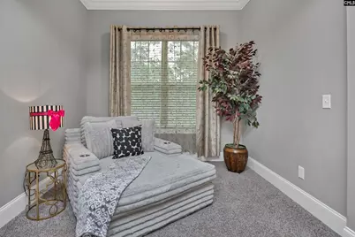 2411 Old Lexington Highway, Chapin, SC 29036 - Photo 19