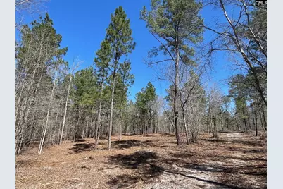 1870 Henry Davis Road #1, Cassatt, SC 29032 - Photo 1