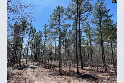 1870 Henry Davis Road #1, Cassatt, SC 29032 - Photo 5