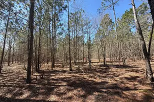 Bhl 11 Boise Cascade Road Bhl 11, Bethune, SC 29009 - Photo 23