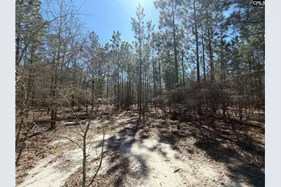 Bhl 11 Boise Cascade Road Bhl 11, Bethune, SC 29009 - Photo 19