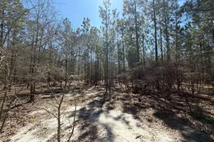 Bhl 11 Boise Cascade Road Bhl 11, Bethune, SC 29009 - Photo 19