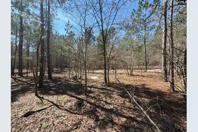 Bhl 11 Boise Cascade Road Bhl 11, Bethune, SC 29009 - Photo 21