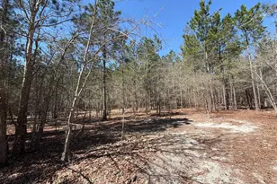 Bhl 11 Boise Cascade Road Bhl 11, Bethune, SC 29009 - Photo 17