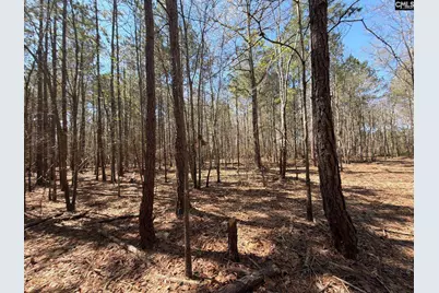 Bhl 11 Boise Cascade Road Bhl 11, Bethune, SC 29009 - Photo 9
