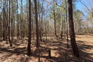 Bhl 11 Boise Cascade Road Bhl 11, Bethune, SC 29009 - Photo 9