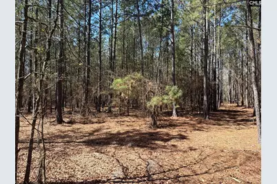 Bhl 11 Boise Cascade Road Bhl 11, Bethune, SC 29009 - Photo 13