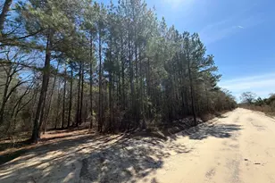 Bhl 11 Boise Cascade Road Bhl 11, Bethune, SC 29009 - Photo 3