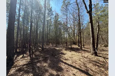 Bhl 11 Boise Cascade Road Bhl 11, Bethune, SC 29009 - Photo 15