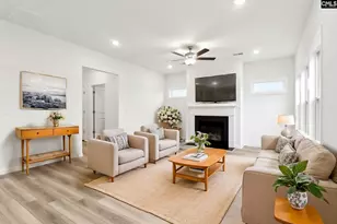 216 Ruby Prince Way, Lexington, SC 29073 - Photo 3