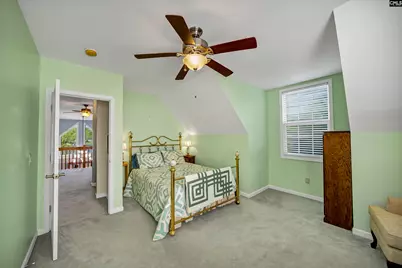 224 Limestone Road, Chapin, SC 29036 - Photo 47