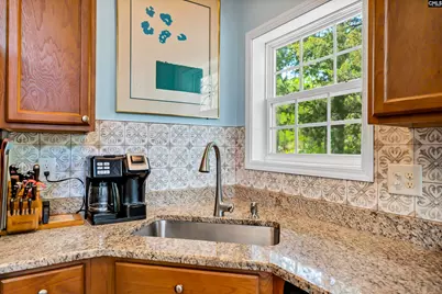 224 Limestone Road, Chapin, SC 29036 - Photo 27