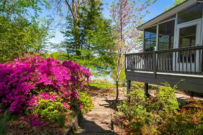 224 Limestone Road, Chapin, SC 29036 - Photo 69