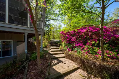 224 Limestone Road, Chapin, SC 29036 - Photo 71