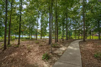 202 Lake Hilton Drive, Chapin, SC 29036 - Photo 45