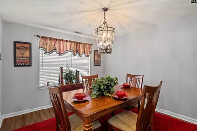 219 Walnut Grove Circle, Irmo, SC 29063 - Photo 13