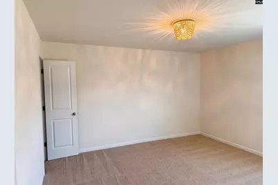 1615 Birch Grain Road, Chapin, SC 29036 - Photo 15