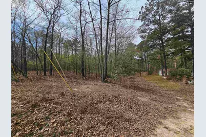 149 Grimes Road, Hopkins, SC 29061 - Photo 11