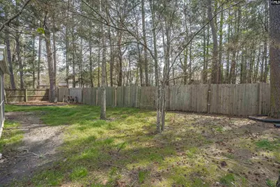 101 Misty Glen Circle, Irmo, SC 29063 - Photo 37