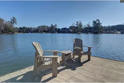 155 Sylvan Street, Chapin, SC 29036 - Photo 9