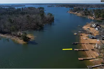 155 Sylvan Street, Chapin, SC 29036 - Photo 13