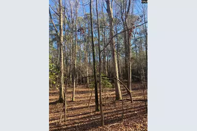 0 Church, Prosperity, SC 29127 - Photo 1