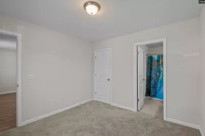 297 Wahoo Circle, Irmo, SC 29063 - Photo 19