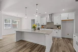 558 Wild Ginger Loop, Irmo, SC 29063 - Photo 11