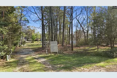 112 Rum Gully Lane, Chapin, SC 29036 - Photo 33