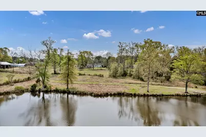 421 &amp; 0 Shore Road, Gilbert, SC 29054 - Photo 15