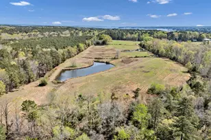 421 &amp 0 Shore Rd, Gilbert, SC 29054 - Photo 1