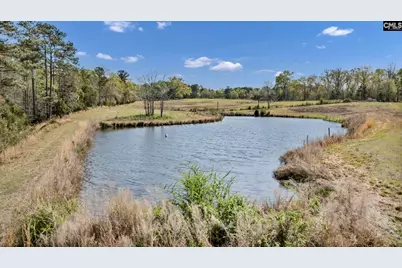 421 &amp; 0 Shore Road, Gilbert, SC 29054 - Photo 7